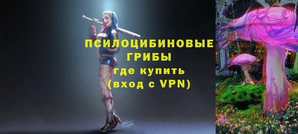 дмт Алзамай