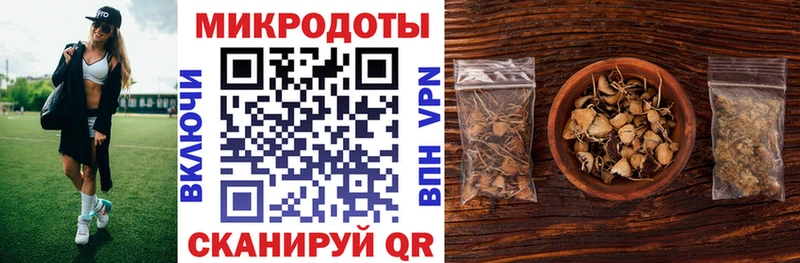 как найти наркотики  Чапаевск  Псилоцибиновые грибы Magic Shrooms 